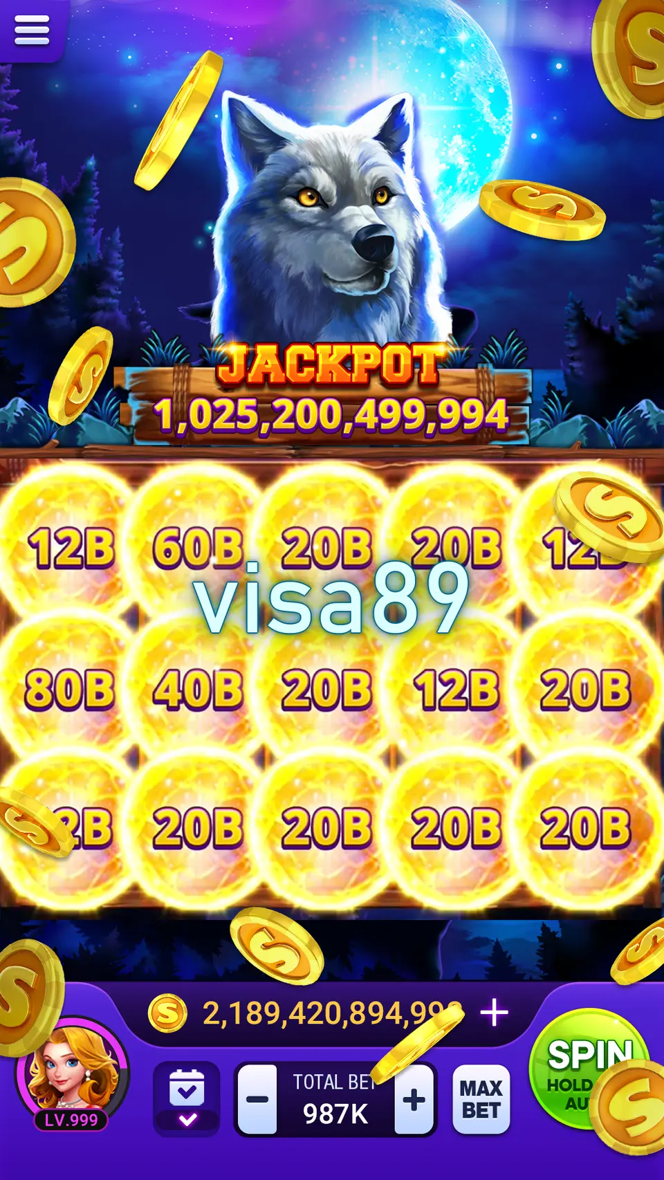 visa89 Masuk